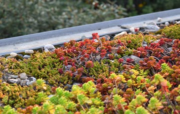 the cost of Rudheath green roof installation