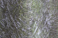 Rudheath fibreglass roof work